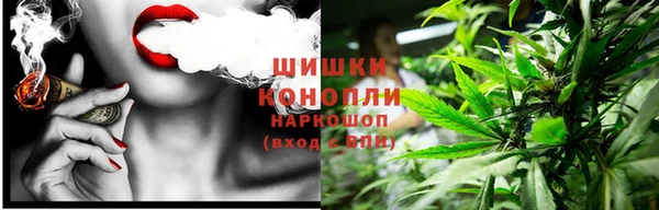 ПСИЛОЦИБИНОВЫЕ ГРИБЫ Кукмор