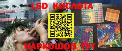 прущие грибы Аргун