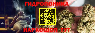 прущие грибы Аргун