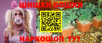 прущие грибы Аргун