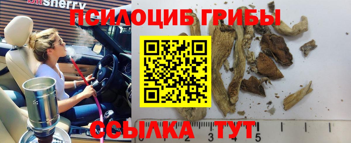 Псилоцибиновые грибы Magic Shrooms  Псилоцибиновые грибы ЛСД  Белая Калитва  Вход с VPN 