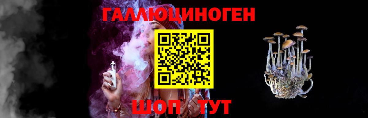 Псилоцибиновые грибы Cubensis  Белая Калитва  Псилоцибиновые грибы Cubensis 