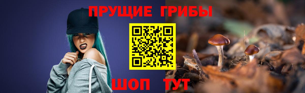 Псилоцибиновые грибы GOLDEN TEACHER Белая Калитва